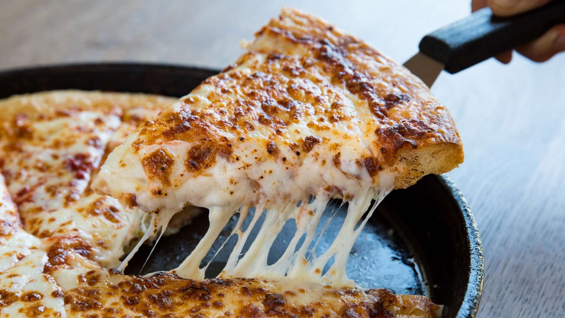 盛誉的教练 盛誉的教练