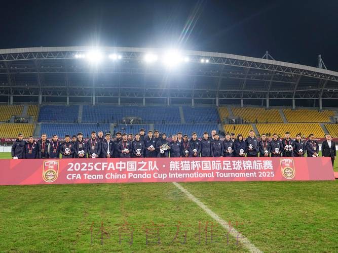 2017年熊猫杯国际青少年足球发展研讨会召开 2017年熊猫杯国际青少年足球发展研讨会召开